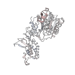 34595_8hal_K_v1-1
Cryo-EM structure of the CBP catalytic core bound to the H4K12acK16ac nucleosome, class 1