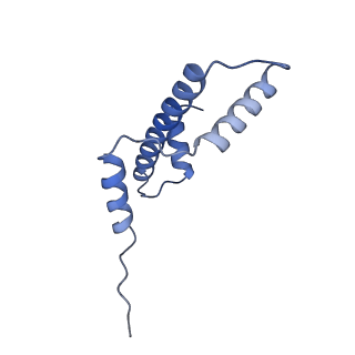 34596_8ham_A_v1-1
Cryo-EM structure of the CBP catalytic core bound to the H4K12acK16ac nucleosome, class 2