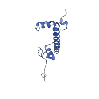 34596_8ham_C_v1-1
Cryo-EM structure of the CBP catalytic core bound to the H4K12acK16ac nucleosome, class 2