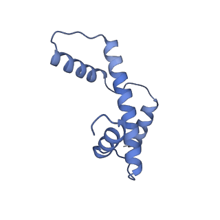 34596_8ham_E_v1-1
Cryo-EM structure of the CBP catalytic core bound to the H4K12acK16ac nucleosome, class 2