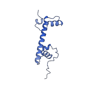 34596_8ham_G_v1-1
Cryo-EM structure of the CBP catalytic core bound to the H4K12acK16ac nucleosome, class 2