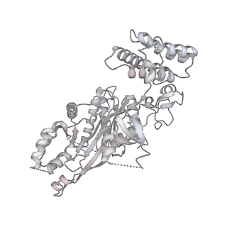34596_8ham_K_v1-1
Cryo-EM structure of the CBP catalytic core bound to the H4K12acK16ac nucleosome, class 2