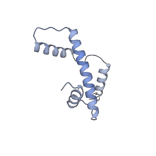 34597_8han_A_v1-1
Cryo-EM structure of the CBP catalytic core bound to the H4K12acK16ac nucleosome, class 3