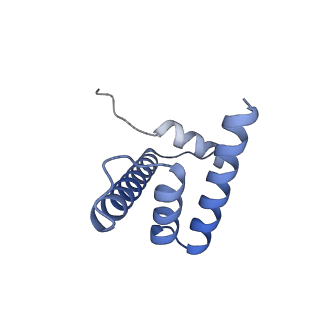 34597_8han_H_v1-1
Cryo-EM structure of the CBP catalytic core bound to the H4K12acK16ac nucleosome, class 3