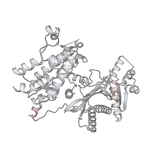 34597_8han_K_v1-1
Cryo-EM structure of the CBP catalytic core bound to the H4K12acK16ac nucleosome, class 3