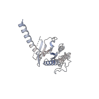 34598_8hao_A_v1-1
Human parathyroid hormone receptor-1 dimer