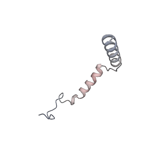 34598_8hao_E_v1-1
Human parathyroid hormone receptor-1 dimer