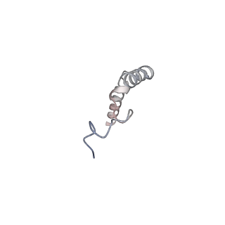 34598_8hao_G_v1-1
Human parathyroid hormone receptor-1 dimer