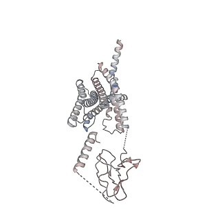 34598_8hao_R_v1-1
Human parathyroid hormone receptor-1 dimer