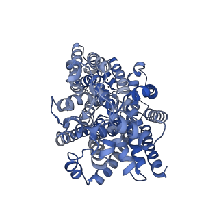 34610_8hb0_A_v1-3
Structure of human SGLT2-MAP17 complex with TA1887