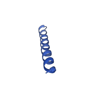 34610_8hb0_B_v1-3
Structure of human SGLT2-MAP17 complex with TA1887