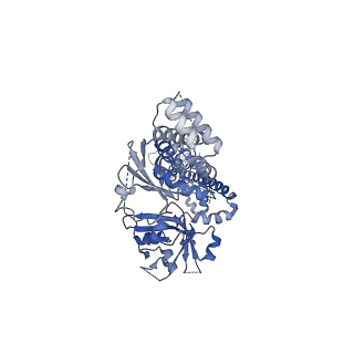 34623_8hbe_A_v1-0
Structure of human soluble guanylate cyclase in the inactive state at 3.1 angstrom