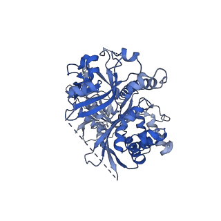 34623_8hbe_B_v1-0
Structure of human soluble guanylate cyclase in the inactive state at 3.1 angstrom