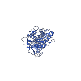 34627_8hbf_A_v1-0
Structure of human soluble guanylate cyclase in the NO+Rio state at 3.1 angstrom
