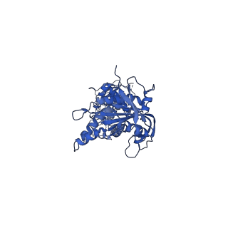 34632_8hbh_B_v1-0
Structure of human soluble guanylate cyclase in the NO-activated state at 3.1 angstrom