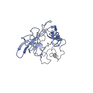 0192_6hcf_A3_v1-1
Structure of the rabbit 80S ribosome stalled on globin mRNA at the stop codon