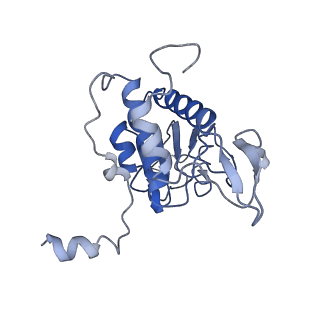 0192_6hcf_B1_v1-1
Structure of the rabbit 80S ribosome stalled on globin mRNA at the stop codon