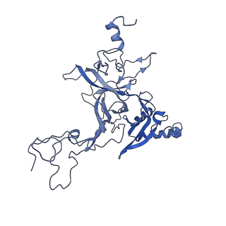 0192_6hcf_B3_v1-1
Structure of the rabbit 80S ribosome stalled on globin mRNA at the stop codon