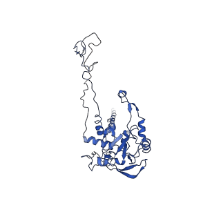 0192_6hcf_C3_v1-1
Structure of the rabbit 80S ribosome stalled on globin mRNA at the stop codon