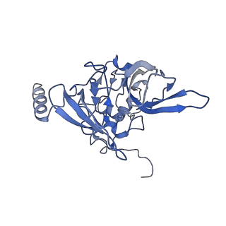 0192_6hcf_F1_v1-1
Structure of the rabbit 80S ribosome stalled on globin mRNA at the stop codon