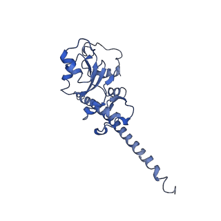 0192_6hcf_F3_v1-1
Structure of the rabbit 80S ribosome stalled on globin mRNA at the stop codon