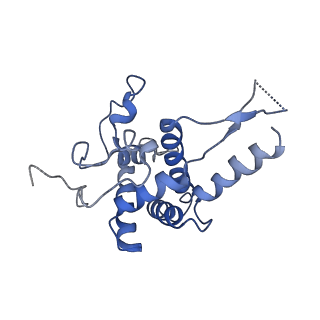 0192_6hcf_G1_v1-1
Structure of the rabbit 80S ribosome stalled on globin mRNA at the stop codon