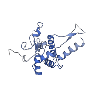 0192_6hcf_G1_v2-0
Structure of the rabbit 80S ribosome stalled on globin mRNA at the stop codon