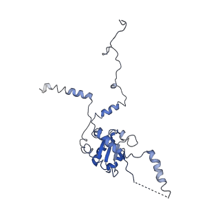 0192_6hcf_G3_v1-1
Structure of the rabbit 80S ribosome stalled on globin mRNA at the stop codon