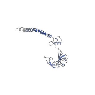 0192_6hcf_H1_v1-1
Structure of the rabbit 80S ribosome stalled on globin mRNA at the stop codon