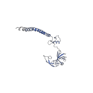 0192_6hcf_H1_v2-0
Structure of the rabbit 80S ribosome stalled on globin mRNA at the stop codon