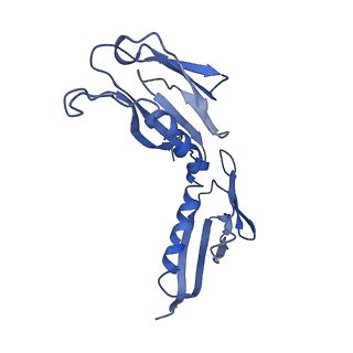 0192_6hcf_H3_v2-0
Structure of the rabbit 80S ribosome stalled on globin mRNA at the stop codon