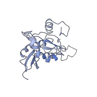 0192_6hcf_I1_v1-1
Structure of the rabbit 80S ribosome stalled on globin mRNA at the stop codon