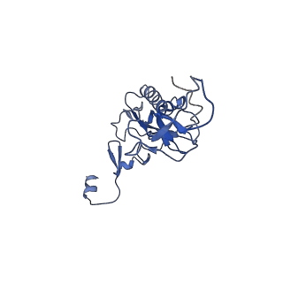 0192_6hcf_I3_v1-1
Structure of the rabbit 80S ribosome stalled on globin mRNA at the stop codon