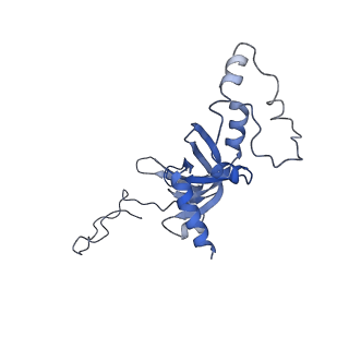 0192_6hcf_J1_v1-1
Structure of the rabbit 80S ribosome stalled on globin mRNA at the stop codon