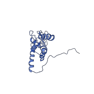0192_6hcf_K1_v1-1
Structure of the rabbit 80S ribosome stalled on globin mRNA at the stop codon