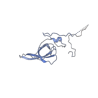 0192_6hcf_M1_v1-1
Structure of the rabbit 80S ribosome stalled on globin mRNA at the stop codon
