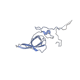 0192_6hcf_M1_v2-0
Structure of the rabbit 80S ribosome stalled on globin mRNA at the stop codon