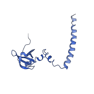 0192_6hcf_M3_v1-1
Structure of the rabbit 80S ribosome stalled on globin mRNA at the stop codon