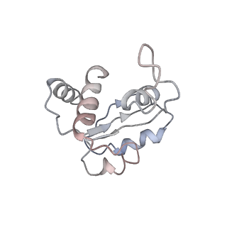 0192_6hcf_N1_v1-1
Structure of the rabbit 80S ribosome stalled on globin mRNA at the stop codon