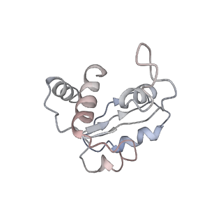 0192_6hcf_N1_v2-0
Structure of the rabbit 80S ribosome stalled on globin mRNA at the stop codon