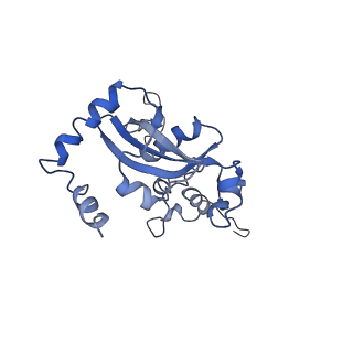 0192_6hcf_N3_v1-1
Structure of the rabbit 80S ribosome stalled on globin mRNA at the stop codon