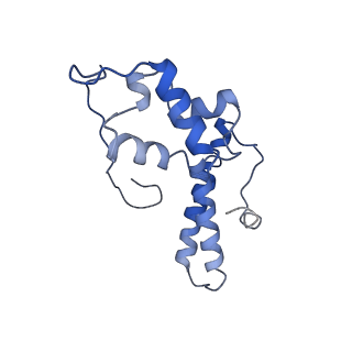 0192_6hcf_O1_v1-1
Structure of the rabbit 80S ribosome stalled on globin mRNA at the stop codon