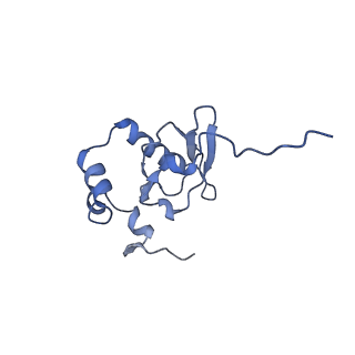 0192_6hcf_Q1_v1-1
Structure of the rabbit 80S ribosome stalled on globin mRNA at the stop codon