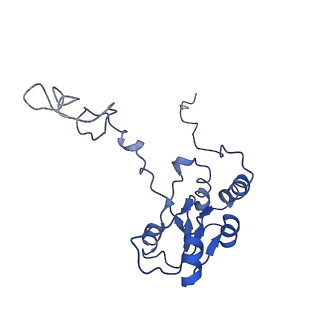 0192_6hcf_Q3_v1-1
Structure of the rabbit 80S ribosome stalled on globin mRNA at the stop codon