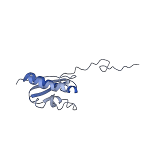 0192_6hcf_R1_v1-1
Structure of the rabbit 80S ribosome stalled on globin mRNA at the stop codon