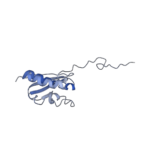 0192_6hcf_R1_v2-0
Structure of the rabbit 80S ribosome stalled on globin mRNA at the stop codon