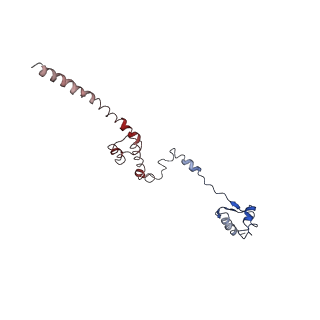0192_6hcf_R3_v1-1
Structure of the rabbit 80S ribosome stalled on globin mRNA at the stop codon