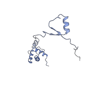 0192_6hcf_S1_v1-1
Structure of the rabbit 80S ribosome stalled on globin mRNA at the stop codon