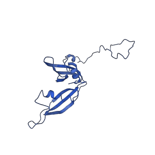 0192_6hcf_S3_v1-1
Structure of the rabbit 80S ribosome stalled on globin mRNA at the stop codon