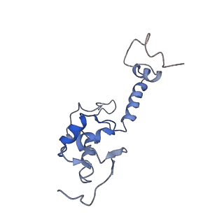 0192_6hcf_T1_v1-1
Structure of the rabbit 80S ribosome stalled on globin mRNA at the stop codon